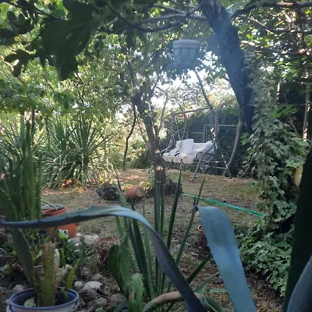 Entire House With Private Garden And Garage *